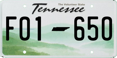 TN license plate F0165O