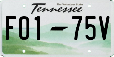 TN license plate F0175V