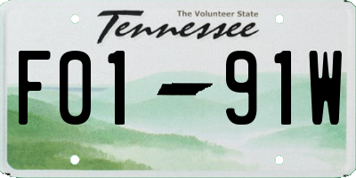 TN license plate F0191W
