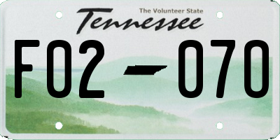 TN license plate F0207O