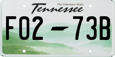 TN license plate F0273B