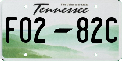 TN license plate F0282C