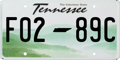 TN license plate F0289C