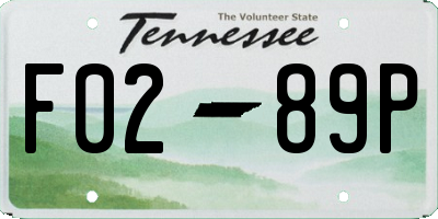 TN license plate F0289P