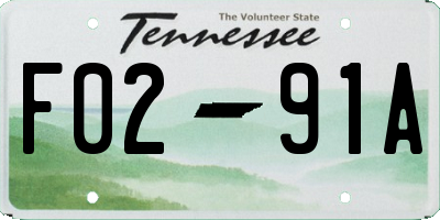 TN license plate F0291A