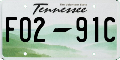 TN license plate F0291C