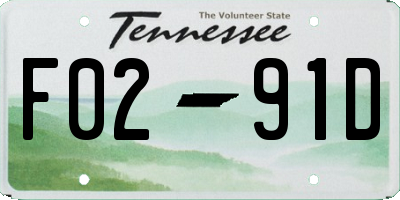 TN license plate F0291D