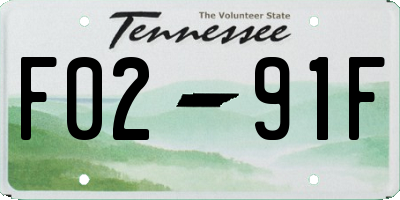 TN license plate F0291F