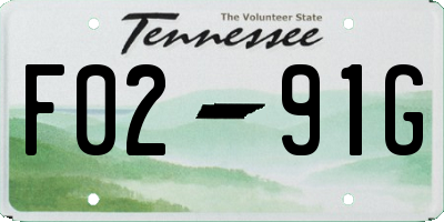 TN license plate F0291G