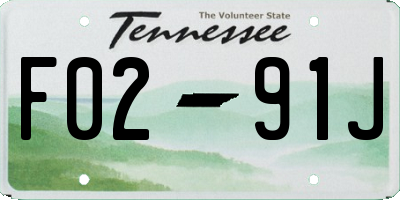 TN license plate F0291J