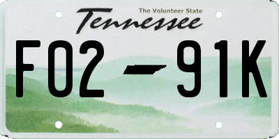 TN license plate F0291K