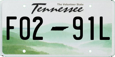 TN license plate F0291L