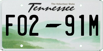 TN license plate F0291M