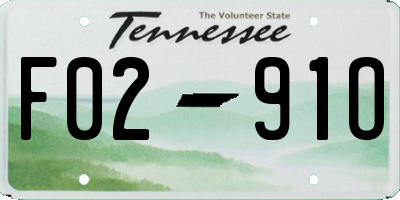 TN license plate F0291O