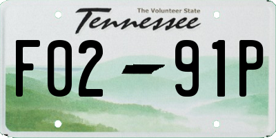 TN license plate F0291P
