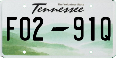 TN license plate F0291Q