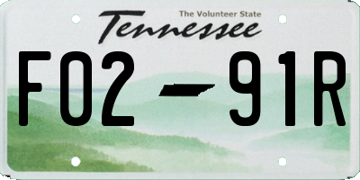 TN license plate F0291R
