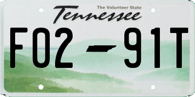 TN license plate F0291T