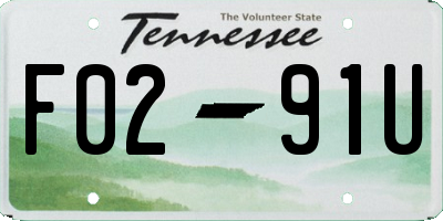 TN license plate F0291U