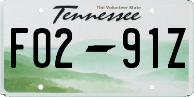 TN license plate F0291Z