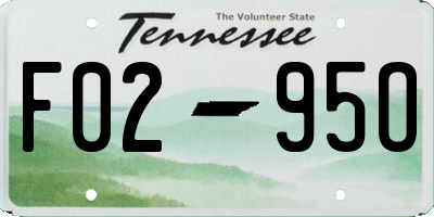 TN license plate F0295O