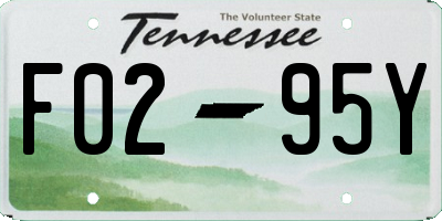 TN license plate F0295Y