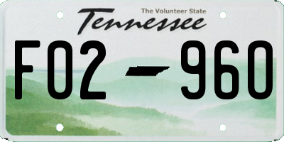 TN license plate F0296O