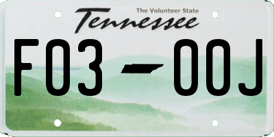 TN license plate F0300J