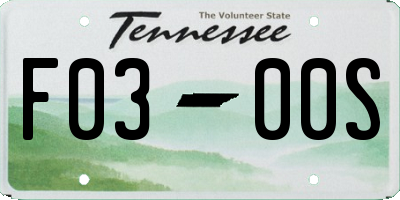 TN license plate F0300S