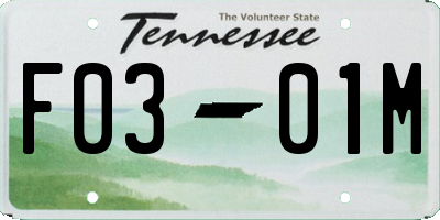TN license plate F0301M