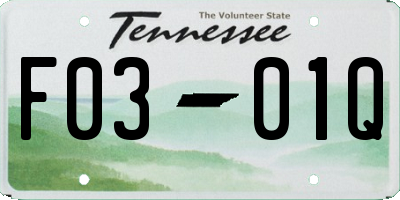 TN license plate F0301Q