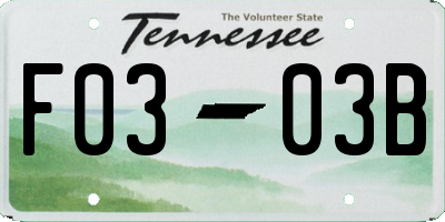 TN license plate F0303B
