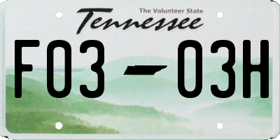 TN license plate F0303H