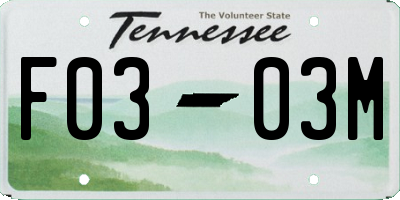TN license plate F0303M