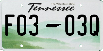 TN license plate F0303Q