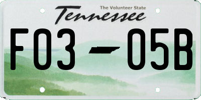 TN license plate F0305B