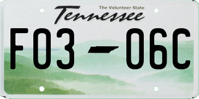 TN license plate F0306C
