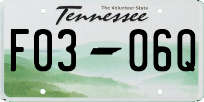 TN license plate F0306Q