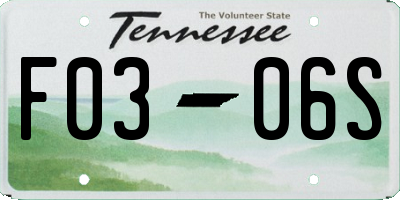 TN license plate F0306S