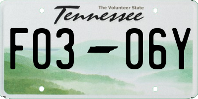 TN license plate F0306Y