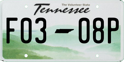 TN license plate F0308P