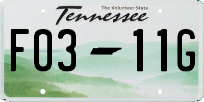 TN license plate F0311G