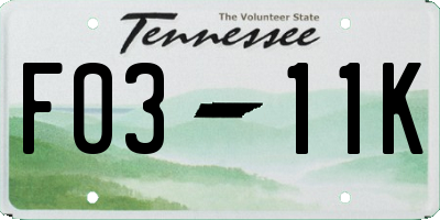 TN license plate F0311K
