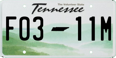 TN license plate F0311M