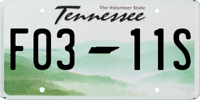TN license plate F0311S