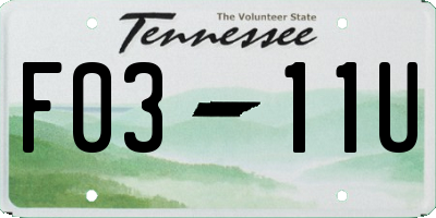 TN license plate F0311U