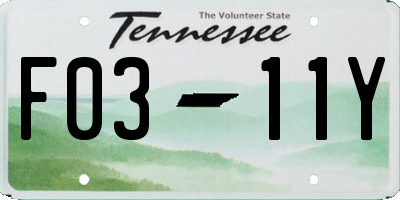 TN license plate F0311Y