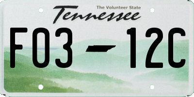 TN license plate F0312C