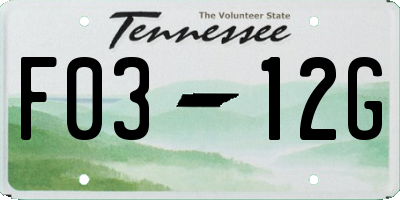 TN license plate F0312G