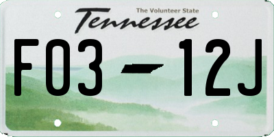 TN license plate F0312J